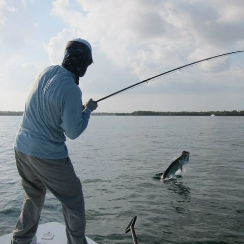 Angler fighting a tarpon that is jumping beside the boat