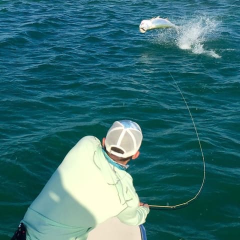 Fly angler hooked up to a tarpon that is jumping clear of the water off Key West
