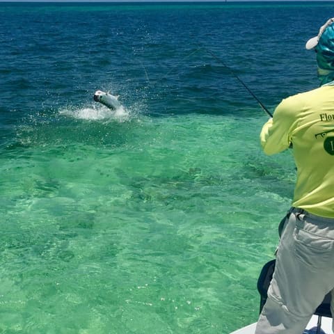 Tarpon jumping on the line over a turquoise flat