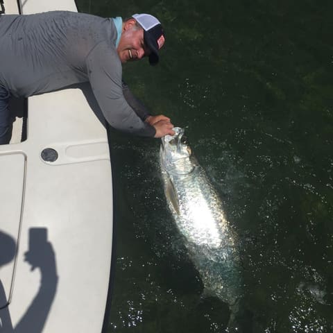 Smiling angler releasing a tarpon over the gunwale